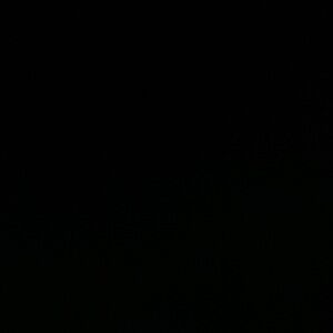 Meet your Posher, Angelo